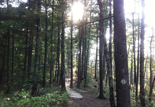 Sheltowee Trace, Red River Gorge